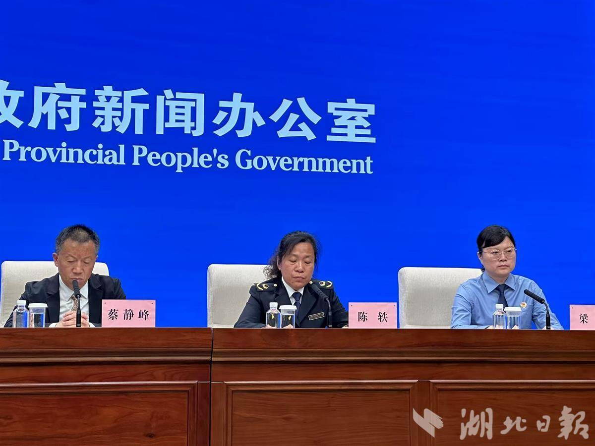 湖北省知識：強(qiáng)化知識產(chǎn)權(quán)全鏈條保護(hù)機(jī)制:知識產(chǎn)權(quán)